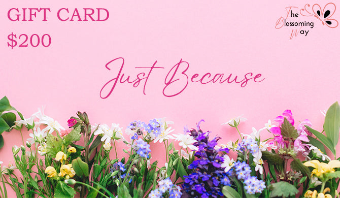 JUST BECAUSE GIFT CARD - PK