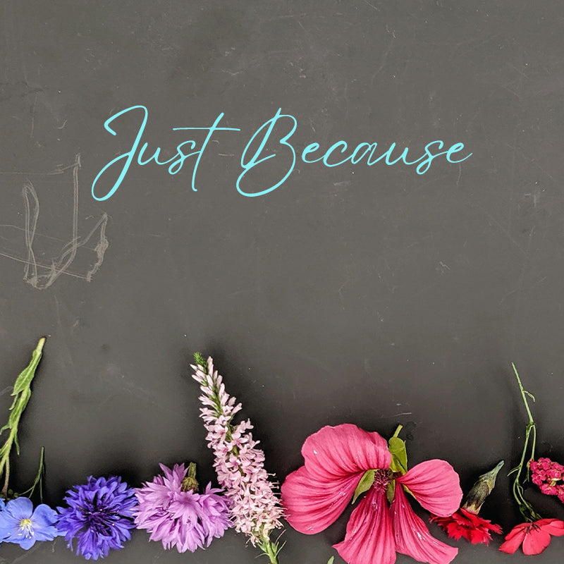 JUST BECAUSE GIFT CARD - DGY