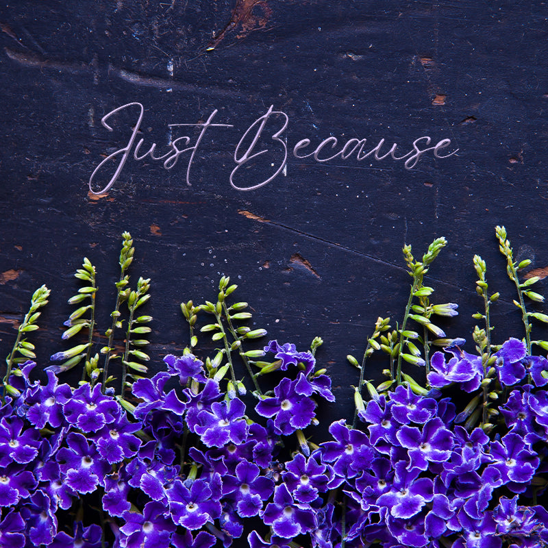 JUST BECAUSE GIFT CARD - PP