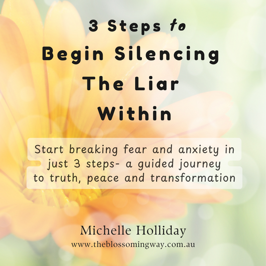 3 STEPS TO BEGIN SILENCING THE LIAR WITHIN - FREE E-BOOK