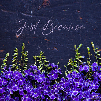 JUST BECAUSE GIFT CARD - PP